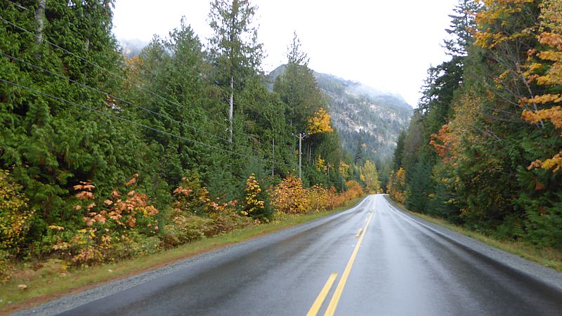 Route dans la forêt du côté de Darcy