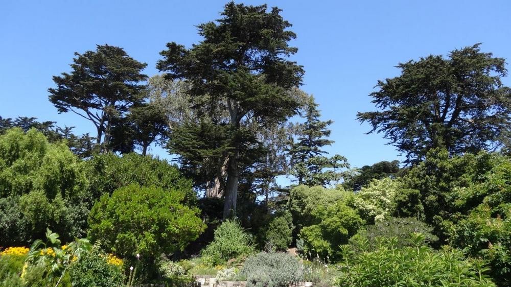 Jardin botanique dans le Golden Park