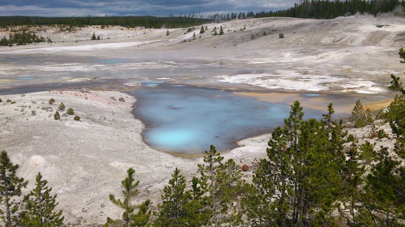 Bassin thermal bleu laiteux à Norris (Yellowstone) le 31 mai 2012