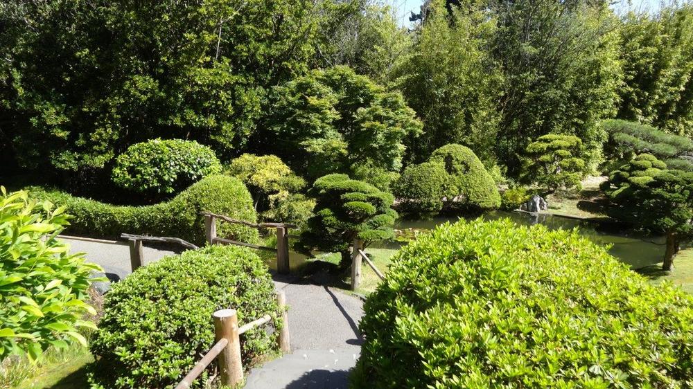 Japonese tea Gardens dans le Golden Park